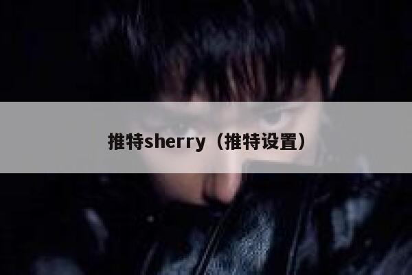 推特sherry（推特设置） 第1张