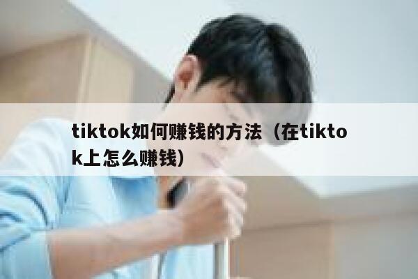 tiktok如何赚钱的方法（在tiktok上怎么赚钱） 第1张