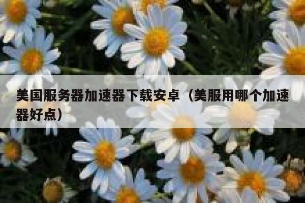 美国服务器加速器下载安卓（美服用哪个加速器好点） 第1张