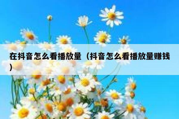 在抖音怎么看播放量（抖音怎么看播放量赚钱） 第1张
