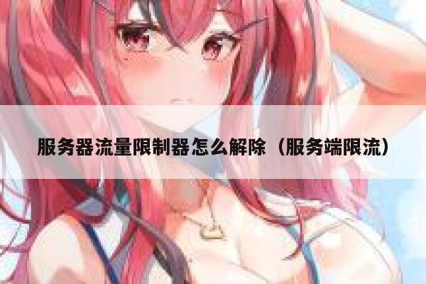 服务器流量限制器怎么解除（服务端限流） 第1张
