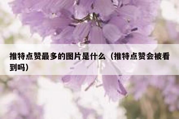 推特点赞最多的图片是什么（推特点赞会被看到吗） 第1张