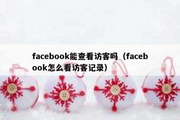 facebook能查看访客吗（facebook怎么看访客记录） 第1张