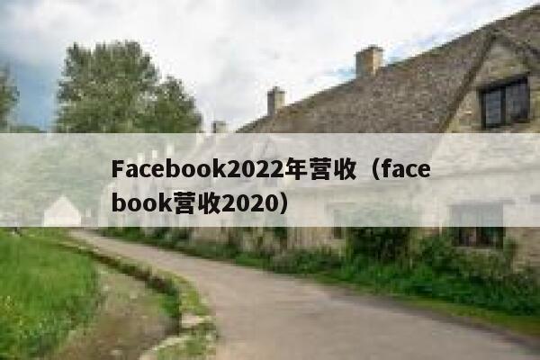 Facebook2022年营收（facebook营收2020） 第1张