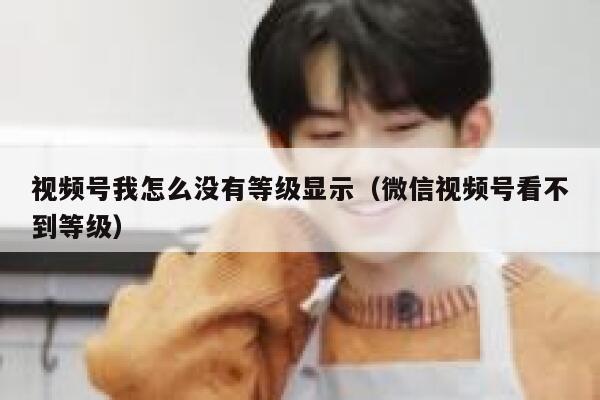 视频号我怎么没有等级显示（微信视频号看不到等级） 第1张