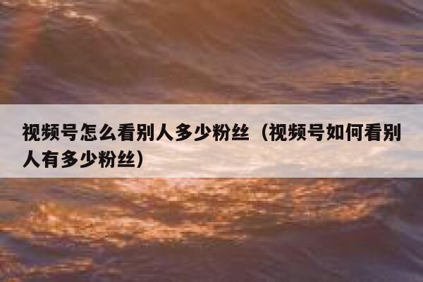 视频号怎么看别人多少粉丝（视频号如何看别人有多少粉丝） 第1张