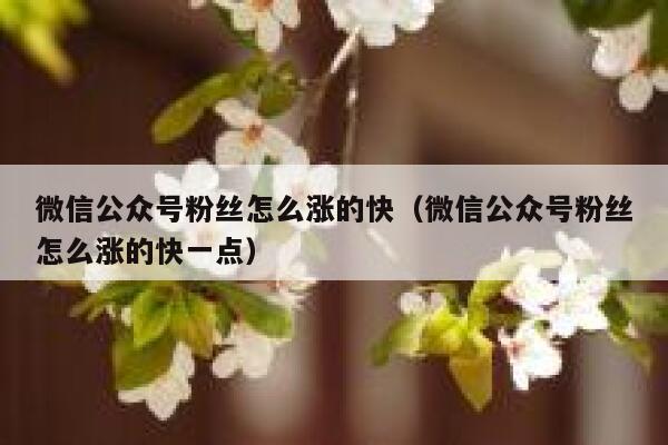 微信公众号粉丝怎么涨的快（微信公众号粉丝怎么涨的快一点） 第1张