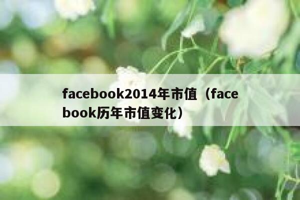 facebook2014年市值（facebook历年市值变化） 第1张