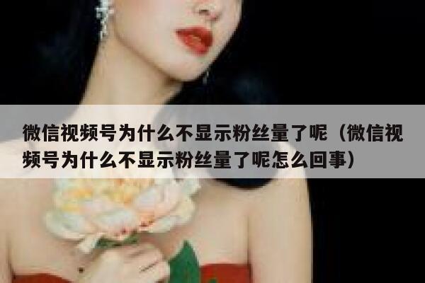 微信视频号为什么不显示粉丝量了呢（微信视频号为什么不显示粉丝量了呢怎么回事） 第1张
