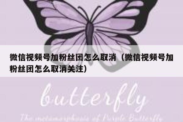 微信视频号加粉丝团怎么取消（微信视频号加粉丝团怎么取消关注） 第1张