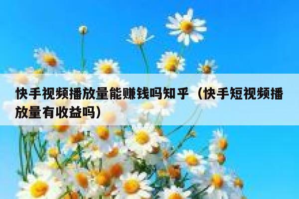快手视频播放量能赚钱吗知乎（快手短视频播放量有收益吗） 第1张