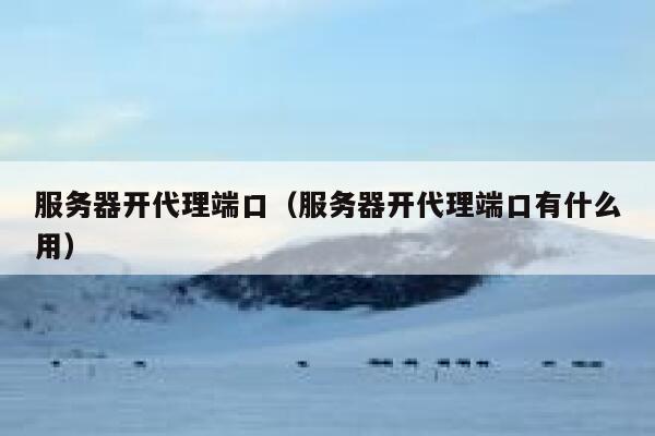 服务器开代理端口（服务器开代理端口有什么用） 第1张