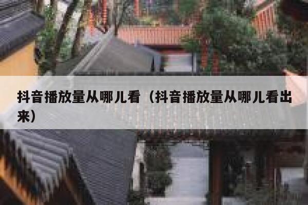 抖音播放量从哪儿看（抖音播放量从哪儿看出来） 第1张