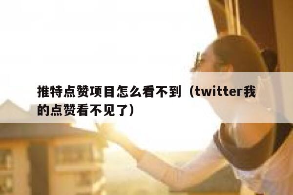 推特点赞项目怎么看不到（twitter我的点赞看不见了） 第1张
