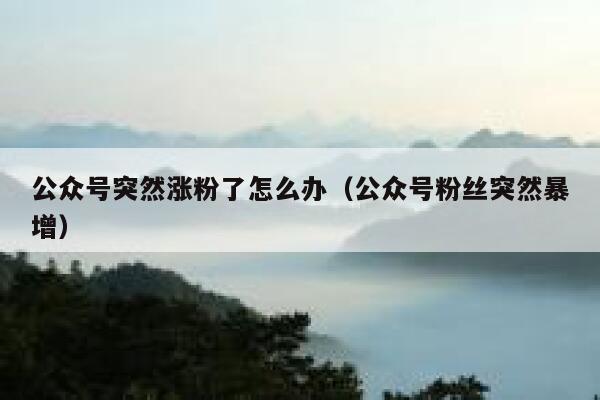公众号突然涨粉了怎么办（公众号粉丝突然暴增） 第1张