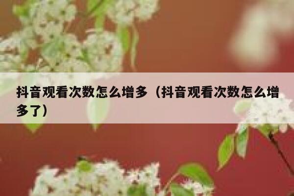 抖音观看次数怎么增多（抖音观看次数怎么增多了） 第1张