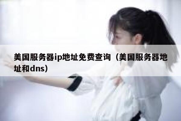 美国服务器ip地址免费查询（美国服务器地址和dns） 第1张