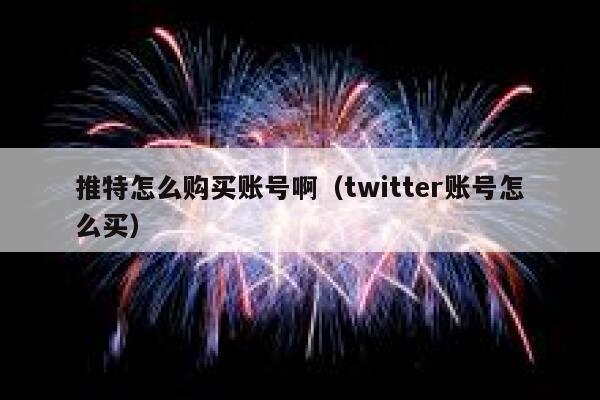 推特怎么购买账号啊（twitter账号怎么买） 第1张