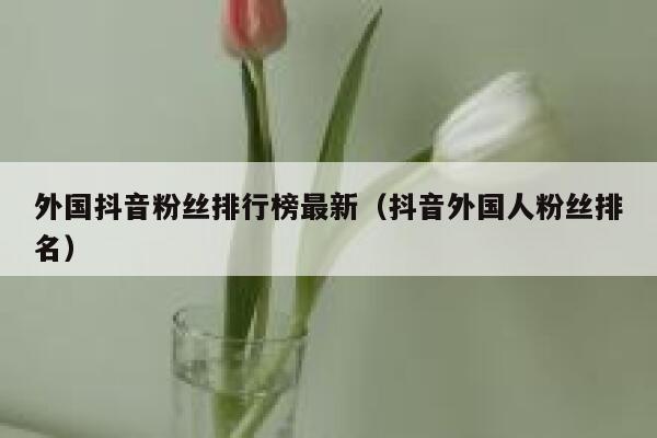 外国抖音粉丝排行榜最新（抖音外国人粉丝排名） 第1张