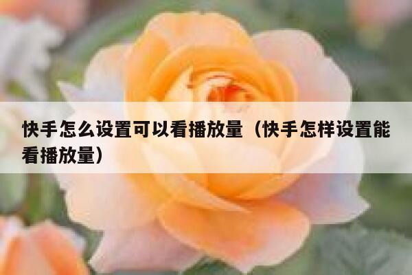 快手怎么设置可以看播放量（快手怎样设置能看播放量） 第1张