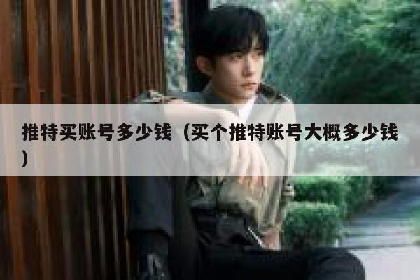 推特买账号多少钱（买个推特账号大概多少钱） 第1张