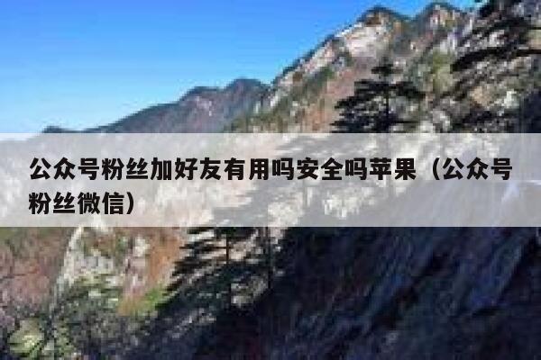 公众号粉丝加好友有用吗安全吗苹果（公众号粉丝微信） 第1张