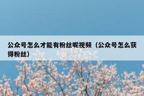 公众号怎么才能有粉丝呢视频（公众号怎么获得粉丝） 第1张