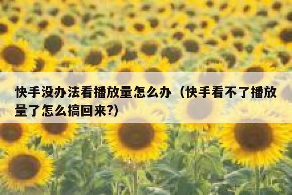 快手没办法看播放量怎么办（快手看不了播放量了怎么搞回来?） 第1张