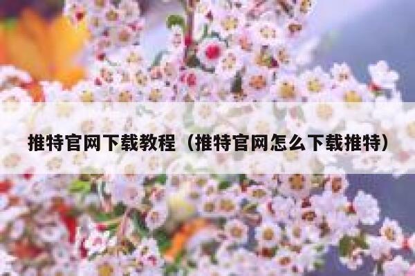 推特官网下载教程（推特官网怎么下载推特） 第1张