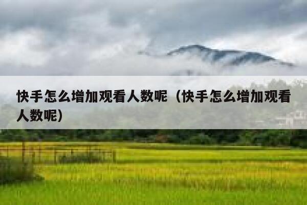 快手怎么增加观看人数呢（快手怎么增加观看人数呢） 第1张