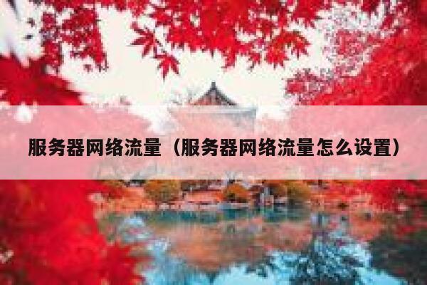 服务器网络流量（服务器网络流量怎么设置） 第1张