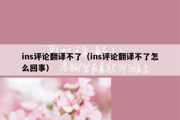 ins评论翻译不了（ins评论翻译不了怎么回事） 第1张