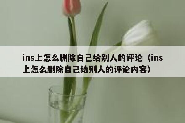 ins上怎么删除自己给别人的评论（ins上怎么删除自己给别人的评论内容） 第1张