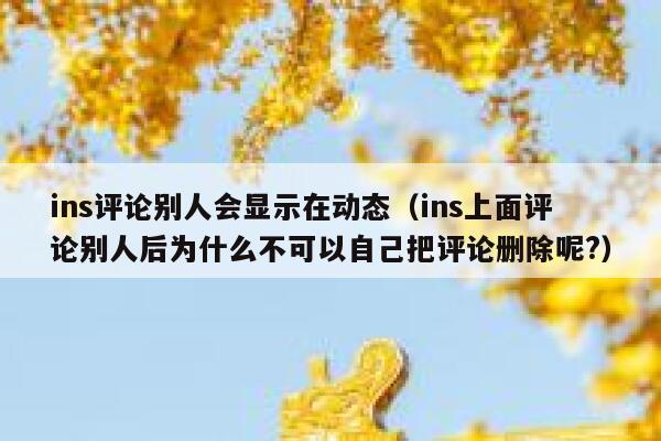 ins评论别人会显示在动态（ins上面评论别人后为什么不可以自己把评论删除呢?） 第1张