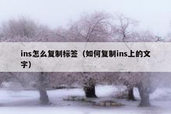 ins怎么复制标签（如何复制ins上的文字） 第1张