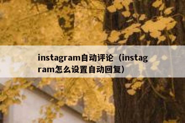 instagram自动评论（instagram怎么设置自动回复） 第1张