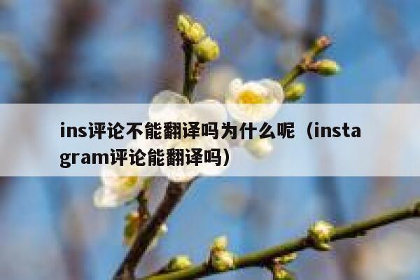ins评论不能翻译吗为什么呢（instagram评论能翻译吗） 第1张