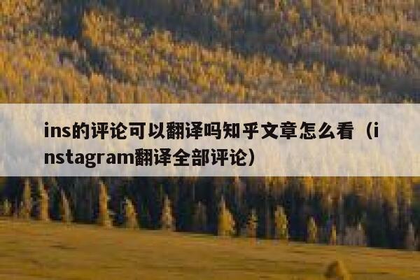 ins的评论可以翻译吗知乎文章怎么看（instagram翻译全部评论） 第1张