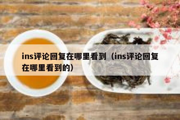 ins评论回复在哪里看到（ins评论回复在哪里看到的） 第1张