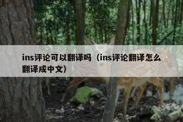 ins评论可以翻译吗（ins评论翻译怎么翻译成中文） 第1张