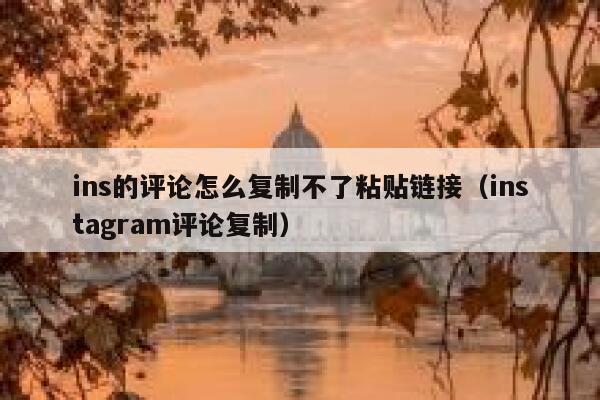 ins的评论怎么复制不了粘贴链接（instagram评论复制） 第1张