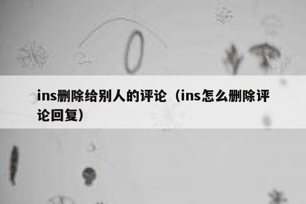 ins删除给别人的评论（ins怎么删除评论回复） 第1张