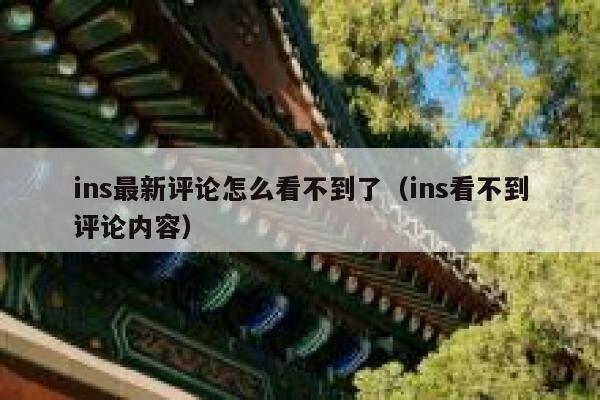 ins最新评论怎么看不到了（ins看不到评论内容） 第1张