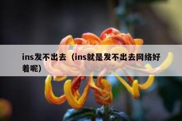 ins发不出去（ins就是发不出去网络好着呢） 第1张