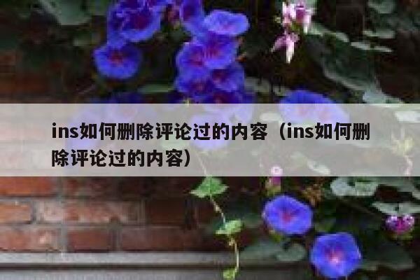 ins如何删除评论过的内容（ins如何删除评论过的内容） 第1张