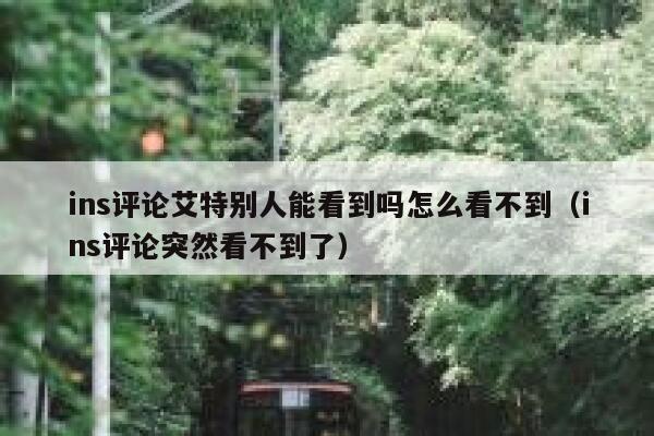 ins评论艾特别人能看到吗怎么看不到（ins评论突然看不到了） 第1张