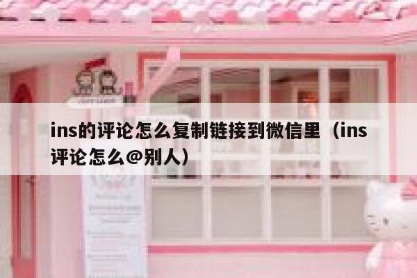 ins的评论怎么复制链接到微信里（ins评论怎么@别人） 第1张