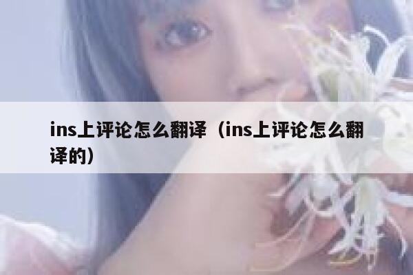 ins上评论怎么翻译（ins上评论怎么翻译的） 第1张