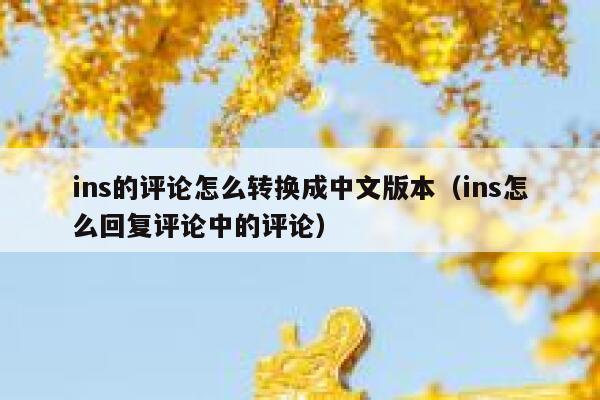 ins的评论怎么转换成中文版本（ins怎么回复评论中的评论） 第1张
