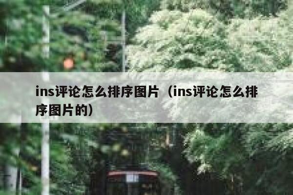 ins评论怎么排序图片（ins评论怎么排序图片的） 第1张